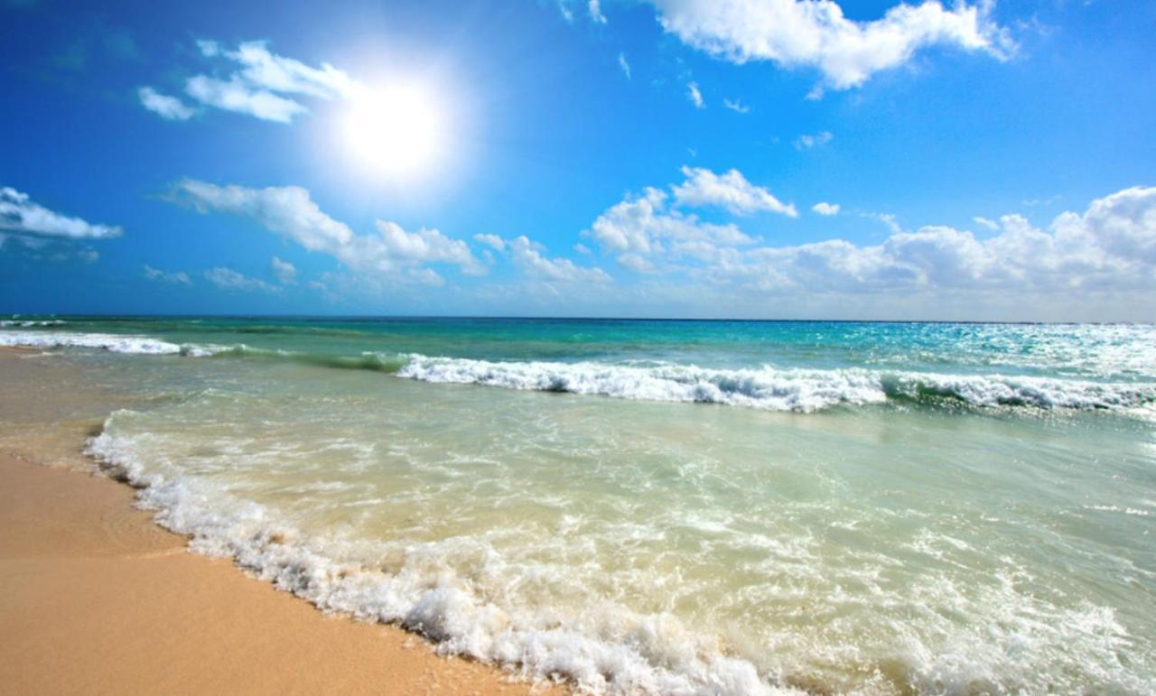 Amadeus XV 44 Studio Sunny Beach Centum Eksteriør billede